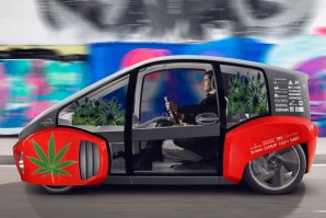 Уругвайская версия! В улёт продаваться будет!