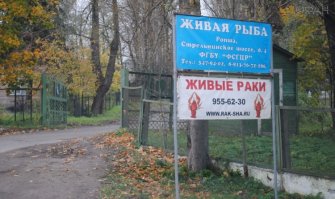 Федеральный селекционно-генетический центр рыбоводства был создан в ноябре 1993 года распоряжением Совета министров Правительства Российской Федерации. Сегодня это крупнейший научно-производственный центр, имеющий мировое значение. Предприятие объединяет научный потенциал людей с мощной рыбоводной базой.

В Ропше сегодня сформированы стада каспийского лосося и арктического гольца (ладожской палии). Центр также является заявителем по четырём зарегистрированным новым породам, а так же имеет две заявки на селекционные достижения.