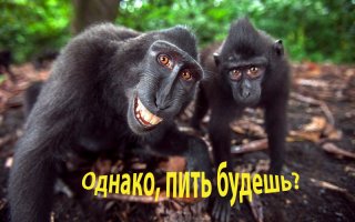 Фотоподборка за 09.12.2016