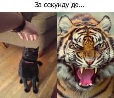 Фотоподборка за 09.12.2016