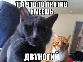 Мама готовит здоровую пищу в виде героев мультфильмов