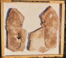 С надеждой на то,что Вы не потребитель,а просто ленитесь почитать:
Что такое лава? Это магма, из которой во время извержения улетучились газы. То есть лава – это магма, поменявшая свои свойства. Ученые-вулканологи по химическому составу определяют три типа лавы.
Наиболее распространенный тип – это базальтовая лава. Океанические щитовые вулканы извергают из мантии «адскую смесь», состав которой наполовину состоит из диоксида кремния. А вторая половина – это оксид алюминия, железа, магния и других металлов. Настоящая химическая лаборатория, скрытая в мантии, готовит эту смесь, чтобы выплеснуть ее на поверхность земли. Базальтовая лава всегда светлого цвета. Иногда желтая, иногда желто-красная. Она жидкая, поэтому течет всегда быстро. Средняя скорость передвижения – 2 метра в секунду. К тому же температура высочайшая – не менее 1200 градусов. От такой не убежишь и не спасешься!
Кремниевая лава в основном встречается в Тихоокеанском огненном кольце. Она такая густая и вязкая, что иногда при извержении закупоривает жерло вулкана и не изливается наружу. Справедливости ради стоит сказать, что иногда ее скапливается так много, что вулкан, вздохнув полной грудью, выбрасывает ее из себя. Обычно происходит мощный взрыв, и лава, медленно и нехотя, сползает со склона вулкана. Скорость смехотворная – от 2 до 5 метров в день.
Этот тип лавы называют кремниевой потому, что обычно она в своем составе имеет диоксид кремния или кремнезем. Да еще и в таком немыслимом количестве – от 55 до 65 %. Именно этот тип образует при застывании вулканическое стекло черного цвета. Да и сама лава обычно черно-красного цвета. Издали она очень красива, а вблизи, конечно, опасна. Почему? Специалисты шутят, когда говорят о том, что этот тип лавы «холодный». Эта почти «ледышка» разогревается всего до 500 (!) градусов.
И еще один тип ученые относят к холодным. Это карбонатная лава, которая тоже имеет температуру 500 – 600 градусов. В ее составе поровну карбонатов натрия и калия. Она очень жидкая, поэтому тоже мчится по склонам с огромной скоростью. Кстати, угрожает она только одному месту на Земле, потому что изливается из вулкана Олдоиньо – Ленгаи в Танзании.
Текущая по склонам карбонатная лава имеет темный цвет, а вот когда застывает, светлеет, становится мягкой и даже ломкой. Она легко растворяется в воде. Местные лекари готовят на ее основе разные снадобья. И говорят, что довольно успешно излечивают ими страждущих.
Как видите,в первых двух типах основной компонент-диоксид кремния,т.е то,что входит в состав песка,глины,глинозема,суглинка,земли по которым мы ходим.
После извержения все типы лавы коренным образом изменяют облик вулкана и его окрестностей. Появл яются огромные горные плато. Иногда лава застывает, образуя причудливый, почти космический пейзаж. Вся растительность сгорает. Но очень скоро жизнь снова возвращается на пепелище. Сначала ветер приносит семена растений. И через год начинают пробиваться первые зеленые ростки.
Через 5 – 10 лет ничто не напоминает об извержении, наоборот, склоны превращаются в райский уголок. Здесь пышная зелень деревьев, много дичи и есть вода. 
Так что по лаве,когда она остыла до температуры окружающей среды,вполне можно ходить,оставляя отпечатки,не один день,а может,и не одну неделю.
Правда,какой-то чудик прошел по еще горячей лаве.Для этого он напялил ботинки.ХЕЗТМ,как такое могло произойти,но отпечаток есть.Ученые ломают головы и копья.
Штат Юта,США,У.Мейстер,1968г.