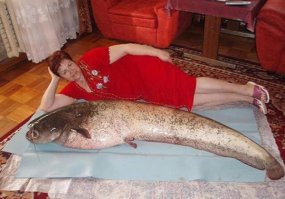 А здесь что не так? Для сопоставления размера (как например публикуют смартфон , а рядом монету)