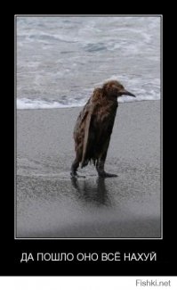 Ученые нашли идеально сохранившиеся перья динозавра