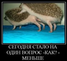 Подборка познавательных фактов