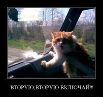 Со своим уставом в чужую маршрутку