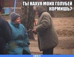 Что будет, если Трампа одеть в гардероб английской королевы?