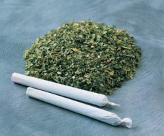 Подборка познавательных фактов