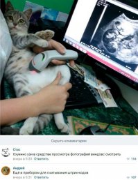 Особенно если это кот