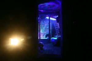 Жаль малого, конечно. Но вина за то, что у них есть доступ к взрослым темочкам исключительно на совести взрослых.

Кислота, грибы, кактусы, лианы айваски- это Вам не алкоголь и не шишки. Для того, чтобы с ними работать, необходима осознанность выбора, принятия решений. 

Это потрясающие элементы, в нужное время, с нужной атмосферой и количеством, которые помогут Вам решить свои внутренние вопросы и вообще раскрыть горизонты восприятия.
Главное: 
1)не берите там, где не уверены. Чистый лсд не имеет вкуса. Однако, если чуть горчит- там просто ДОБовые примеси (не страшно, но надо иметь ввиду, что это не совсем то, что Вы искали. В-во также с потенциалом)
2)боитесь "передоза" ? Съешьте половинку и через часа два- три ещё половинку
3) закачайте себе музыки в стиле Chillout, Goa Trance, Dark Psy, послушайте, выберите, возьмите с собой.
4) выберите уединённое место для принятия- на природе лучше всего. Или там, где ВАМ НИКТО НЕ ПОМЕШАЕТ. (мы ездим на природу в домик)
Лучше, если первый раз пробуете, и боитесь, то пусть с вами будет кто- то надёжный рядом. На форумах часто пишут всякие ужасы- не верьте им. я провожу закрытые церемонии по разным штукам и отвечаю- 90% случаев проходят на ура! Оставшиеся 10 - ещё лучше. Не бойтесь. Bad trip - самое лучшее лекарство для психики. Это момент, когда Вам же вещество раскрывает причины Ваших психологических блоков. 
Если у Вашего знакомого случилась эта ситуация- выведите на тёплое, полу- освещённое место с приятной музыкой, обнимите и начинайте разговаривать, задавать вопросы... 
Человека в течении минут 15и можно вывести из очень глубоких состояний, если надо
5) отключите телефоны- это лишнее.
6) Купите конторских маркеров для подчёркивания текста и УФ фонарик- Вам пригодится!)
7) если Вы решили умереть- Вы всё равно умрёте. Но эти вещества не для Вашей смерти.
Обсуждать ужас их применения поскудно. Просто необходимо понимать,с чем имеешь дело