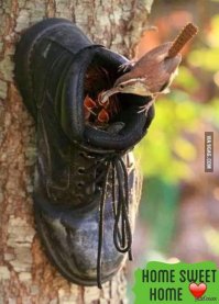 Печка для сада-огорода