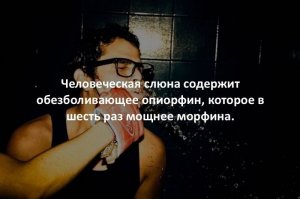 Ыыыы, а чего-же тогда от слюны не штырит?