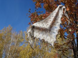 Гениальные идеи вязаных подарков на Новый год!