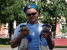 О жизни, смерти и хорьках