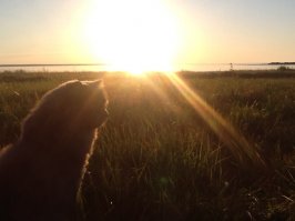 В России, на краю света...