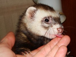 пожалуйста, лампа на заднем фоне))