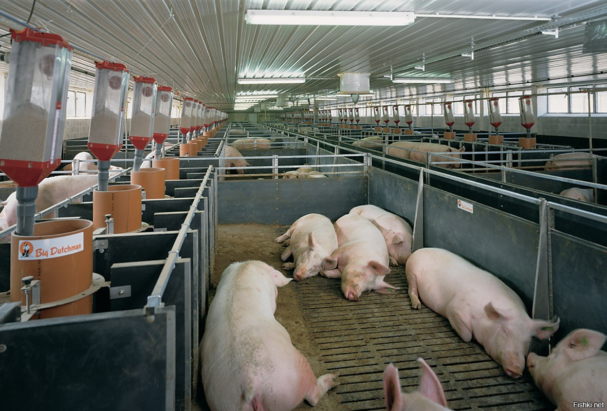 по моему, у них даже чище