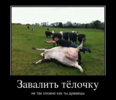 «Тёлочкой тебе не стать»: хейтеры назвали похудевшую россиянку некрасивой