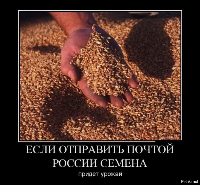 Праздник к нам приходит! Как грузят ваши подарки к Новому году некоторые сотрудники «Почты России»