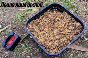 Золотистый подарок реки