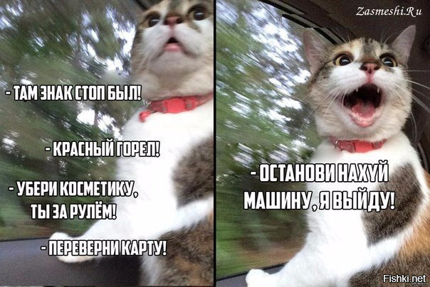 Свежая подборка автоприколов