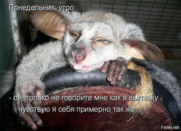 Прикольные картинки