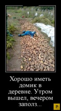 Да природа России местами красива, но одно дело посмотреть картинки сидя в тёплом уютном кресле и совсем другое постоянно жить в этой красоте.