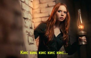 Полеты во сне и наяву