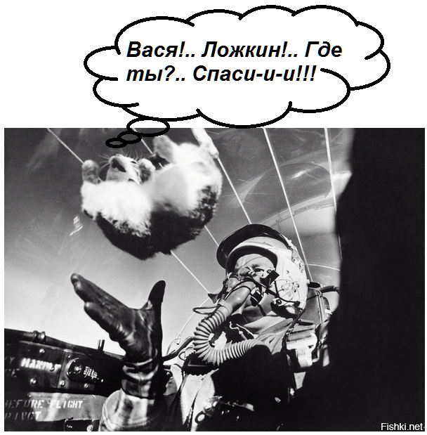 Подборка фотографий со всего мира