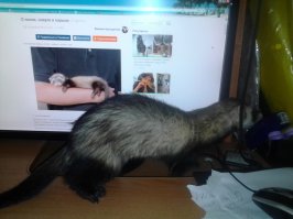 Душевный рассказ!Пошла потискала Тоху и Дашку:)(ну на всякий случай:))