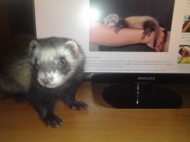 Душевный рассказ!Пошла потискала Тоху и Дашку:)(ну на всякий случай:))