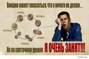 Тот самый случай, когда твой начальник безнравственное чудовище