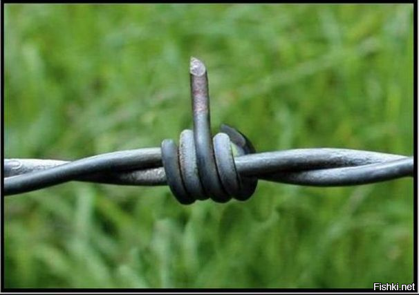 В США дали срок учительнице, которая переспала с учеником перед собственной свадьбой