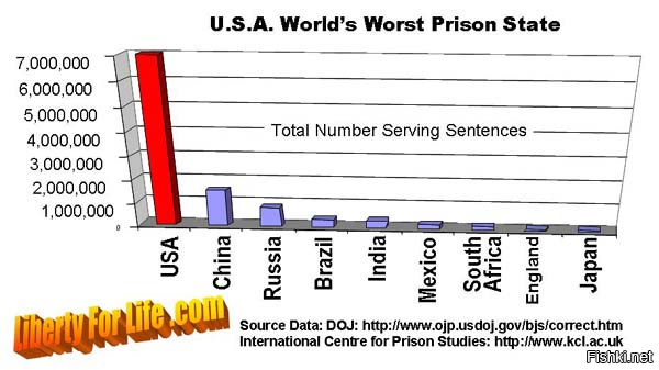 В штатах большинство тюрем частные и государство обязано под угрозой штрафа наполнять их. Тюрьма там уже просто коммерческий трудовой лагерь. Поэтому и такая строгая политика закона.