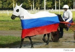 Сумасшедшие ситуации, в которых переборщили с патриотизмом