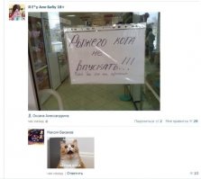 Это оголтелый расизм!