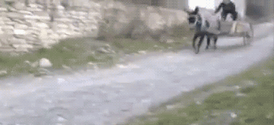 Автомошенники