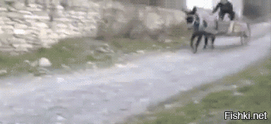 Автомошенники