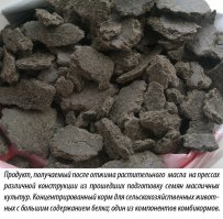 Золотистый подарок реки