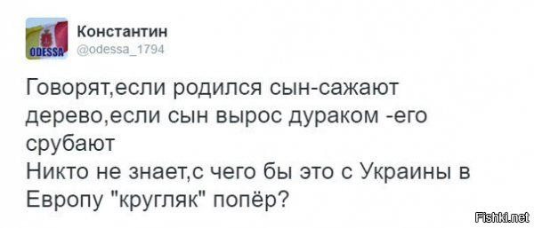 Политические комментарии соцсетей - 35