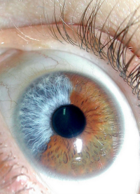 Вот так короче)