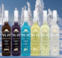 А у теплого камина, можно и Холодной Лапландии принять !!!