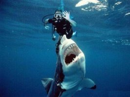 Главное в снимке - это поймать момент