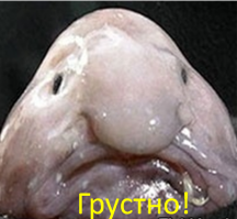 Посмотри какие мы красивые!