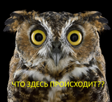 Посмотри какие мы красивые!