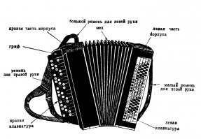 А вы что подумали?