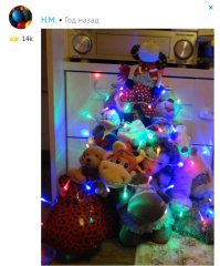 А это моя прошлогодняя )