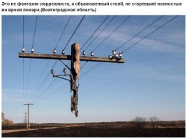 Родная сторонка. Аж прослезился.