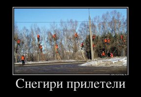 Демотиваторы