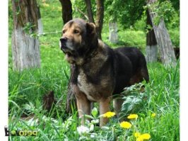 дико извиняюсь за не то фото)